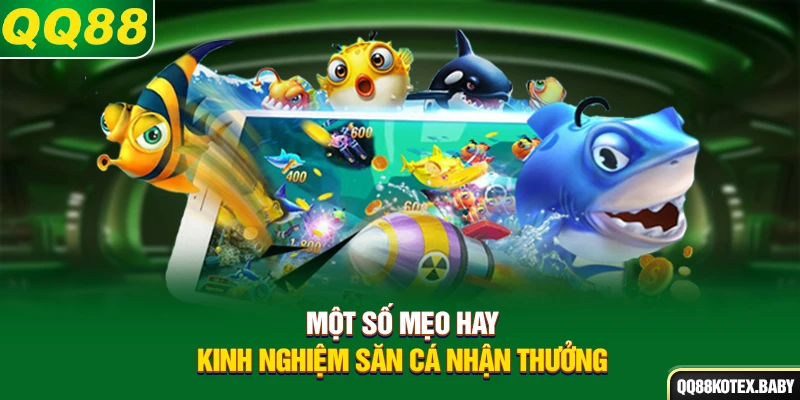 Một số mẹo hay, kinh nghiệm săn cá nhận thưởng